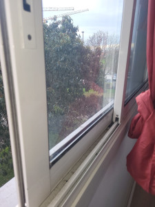 Photo de galerie - Ménage