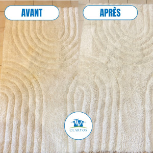 Photo de galerie - Nettoyage urine tapis Chartres