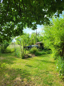 Photo de galerie - Entretien des espaces verts