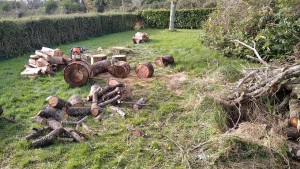 Photo de galerie - Paysagiste - Aménagement du jardin