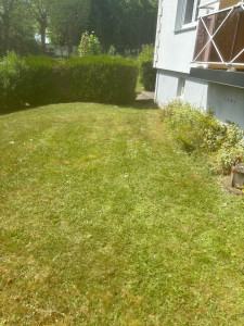 Photo de galerie - Tonte de pelouse.