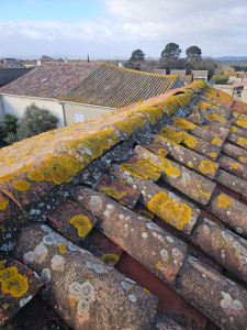 Photo de galerie - Expertise de toit