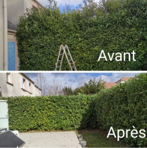 Photo de galerie - Jardinier