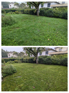 Photo de galerie - Tonte d'un jardin.