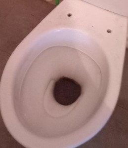 Photo de galerie - Ménage