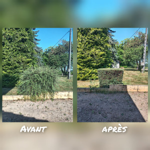 Photo de galerie - Taille de haies et d'arbustes
