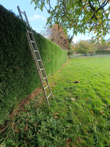 Photo de galerie - Après 
