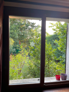 Photo de galerie - Nettoyeur de vitres