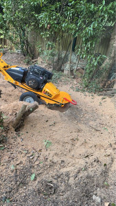 Photo de galerie - Elagage et coupe d'arbres