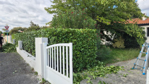 Photo de galerie - Taille de haies / entretien 