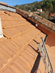 Photo de galerie - Couverture - Toiture