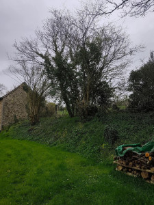 Photo de galerie - Avant 