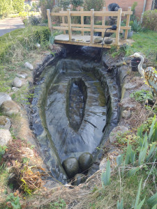 Photo de galerie - Nettoyage bassin poissons