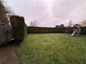 Photo de galerie - Taille de haies 