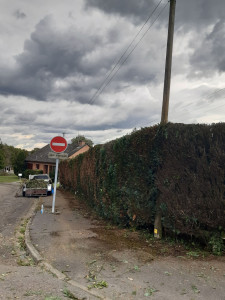 Photo de galerie - Taille de haies et d'arbustes