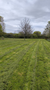 Photo de galerie - Tonte de 2400m2