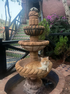 Photo de galerie - Taille 