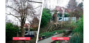 Photo de galerie - Débroussaillage, désherbage, ramassage des feuilles, évacuation des déchets verts