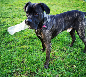 Photo de galerie - Un amour