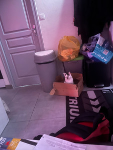 Photo de galerie - Je garde chipie mtn depuis longtemps la maîtresse me fais pleinement confiance 