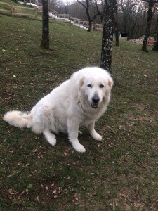 Photo de galerie - Balade avec Melli 