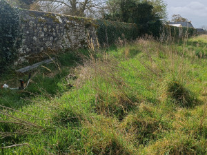 Photo de galerie - Tonte de pelouse - Débroussaillage