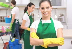 Photo de galerie - Nettoyage et entretien des surfaces de cuisine. Travail soigné, hygiène et finition impeccable.