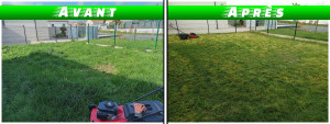 Photo de galerie - Avant / Après herbe haute