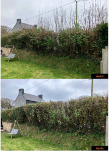 Photo de galerie - Taille /remise en forme 