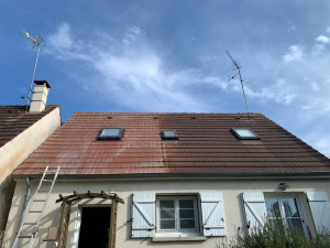 Photo de galerie - Nettoyage toiture 