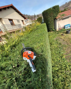 Photo de galerie - Taille haie 