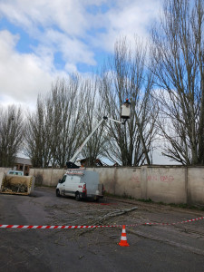 Photo de galerie - élagage à la nacelle 