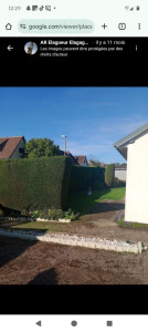 Photo de galerie - Professionnel dans tout ce qui est élagage abattage 
