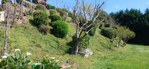 Photo de galerie - Débroussaillage d'un talus