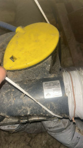 Photo de galerie - T