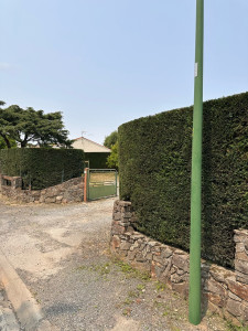 Photo de galerie - Résultat d’une taille de haie 