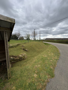 Photo de galerie - Débroussaillage d’un talus 