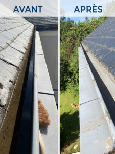 Photo de galerie - Nettoyage de gouttière à l’échelle - comparatif avant/après