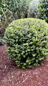 Photo de galerie - Jardinier