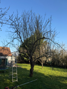 Photo de galerie - Coupe 