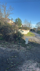 Photo de galerie - Après 