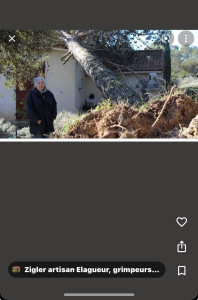 Photo de galerie - Arbre déracinés par tempête 