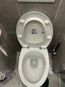 Photo de galerie - Réparation de fuite, détartrage et remplacement du mécanisme et du flotteur de WC suspendu