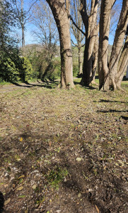 Photo de galerie - Paysagiste - Aménagement du jardin