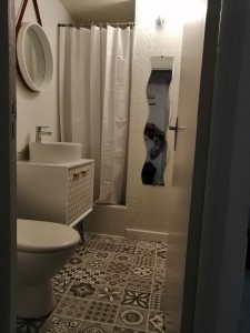 Photo de galerie - Appartement 1- rénovation salle de bain 