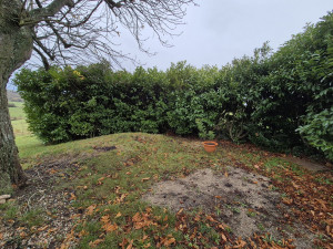 Photo de galerie - Taille de haies et d'arbustes