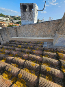 Photo de galerie - Couverture - Toiture