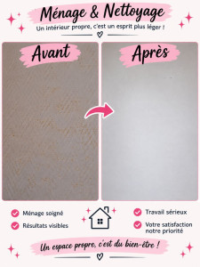 Photo de galerie - Nettoyage approfondi des murs 