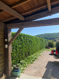 Photo de galerie - Taille d’une haie 