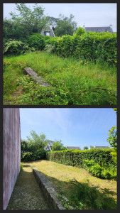 Photo de galerie - Taille de haies et d'arbustes